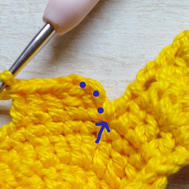Petal 2 - Moara Crochet