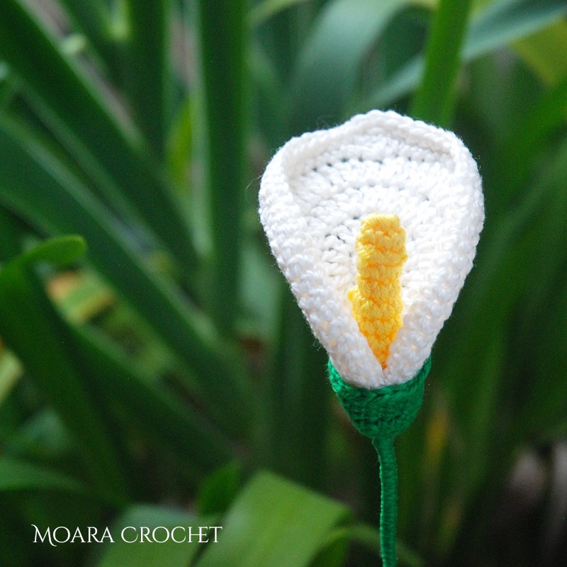 Arum Lily Free crochet pattern - Moara Crochet