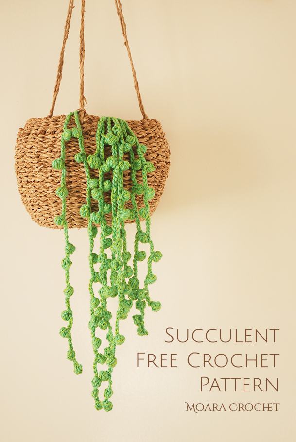 Crochet String of Pearls Succulent Pattern - Moara Crochet