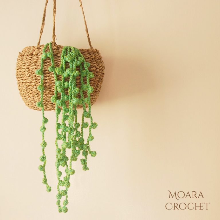 Crochet Succulent String of Pearls Free Pattern Moara Crochet