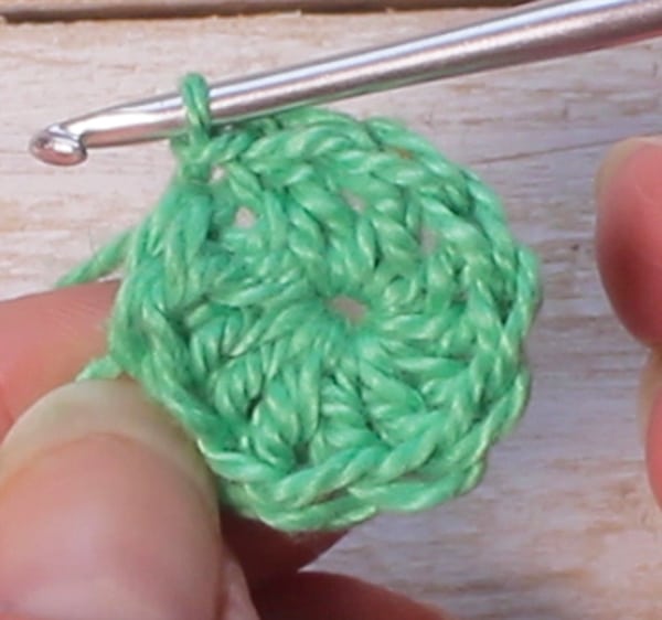Crochet leaf Row 1
