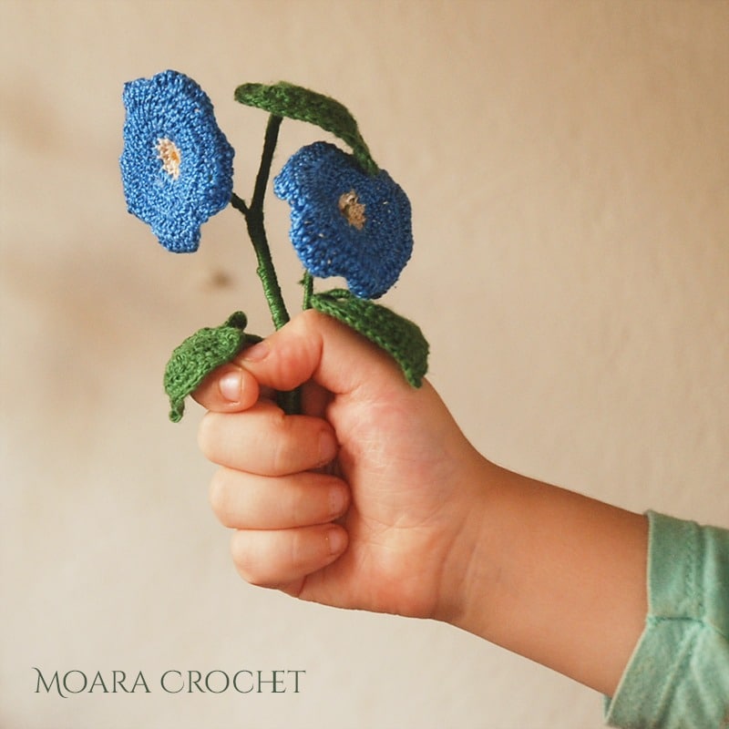 Free Crochet Flower Pattern - Morning Glory Flower with Moara Crochet