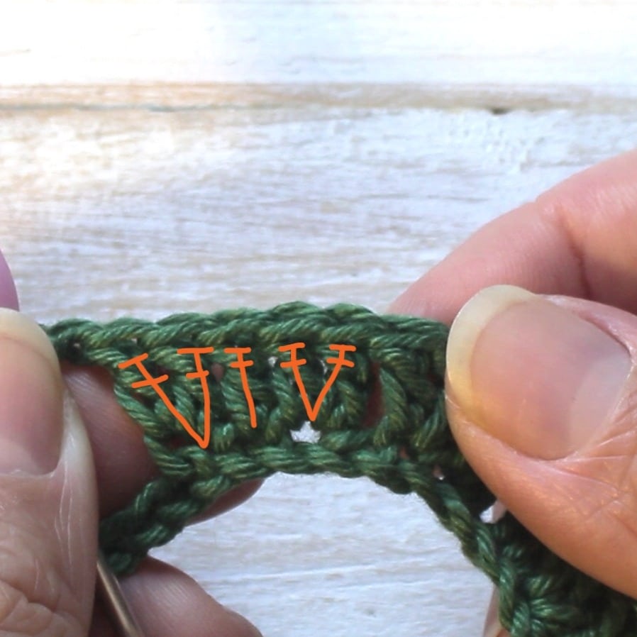 Crochet Succulent Row 1 Part 3.jpg