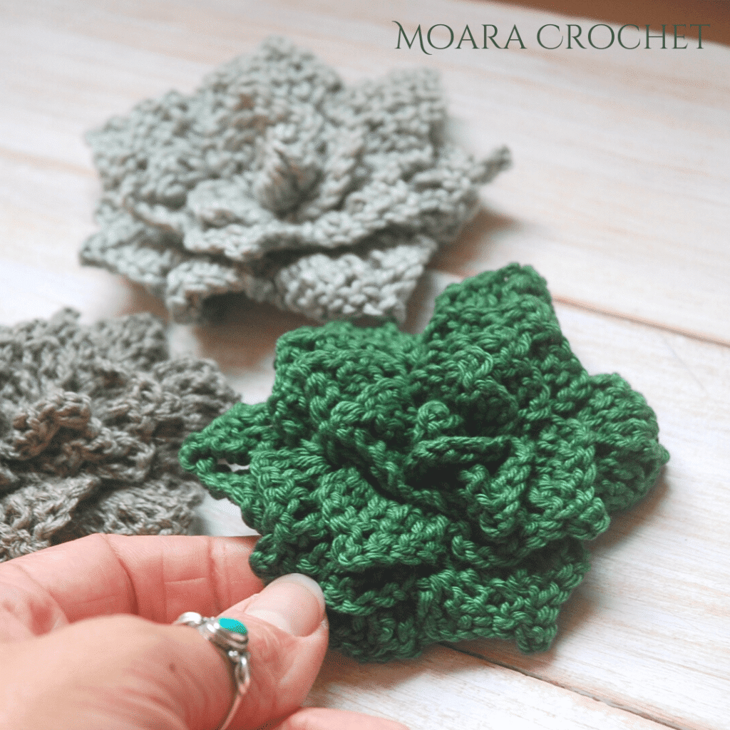 Free Crochet Succulent Flower Pattern - Moara Crochet