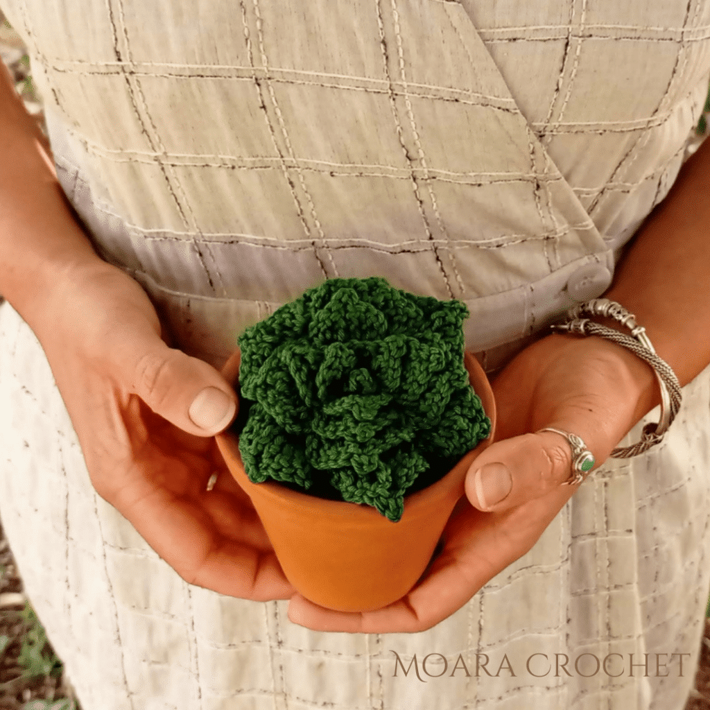 Free Crochet Succulent Flower Pattern with Moara Crochet