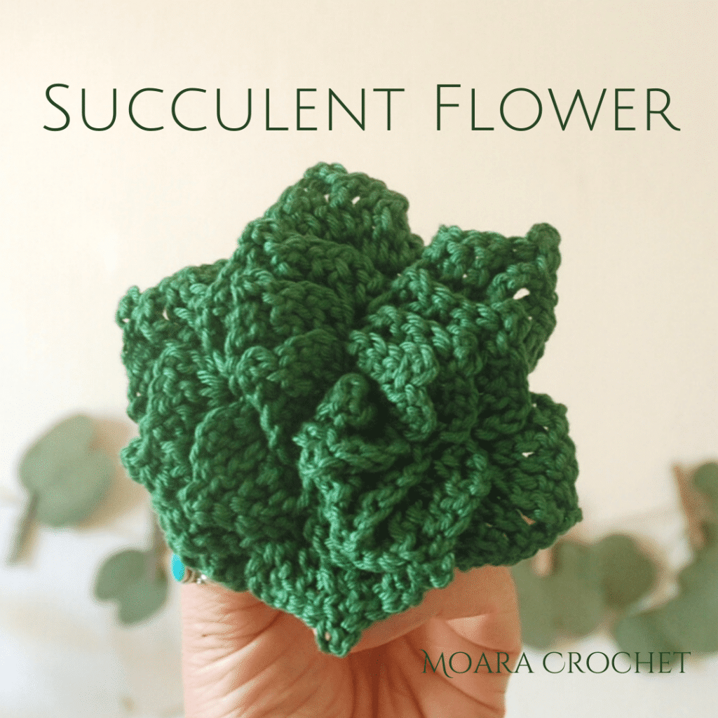 Succulent Crochet Flower Pattern - Moara Crochet