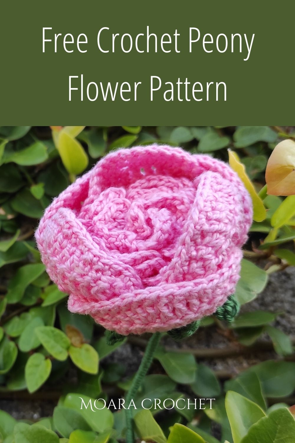 Free Croche Peony Flower Pattern with Moara Crochet