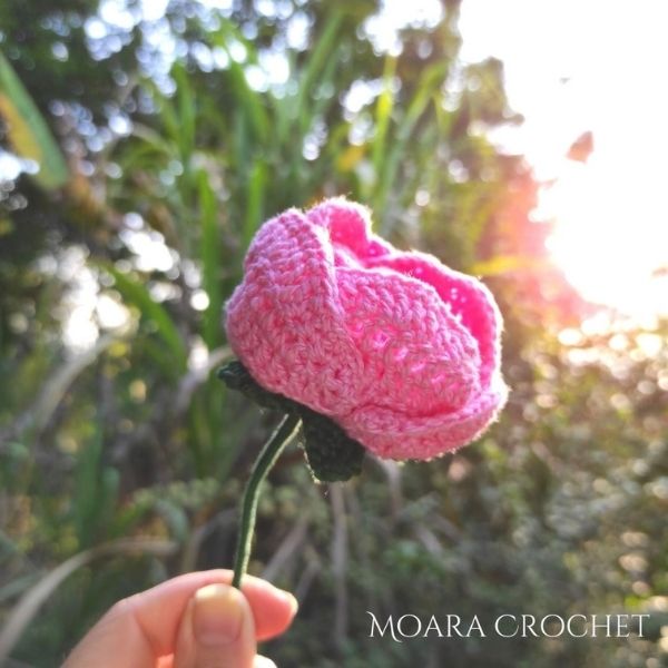 Peony Flower Pattern with Moara Crochet