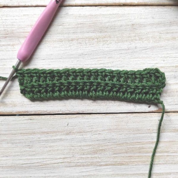How to Crochet Cactus Row 2