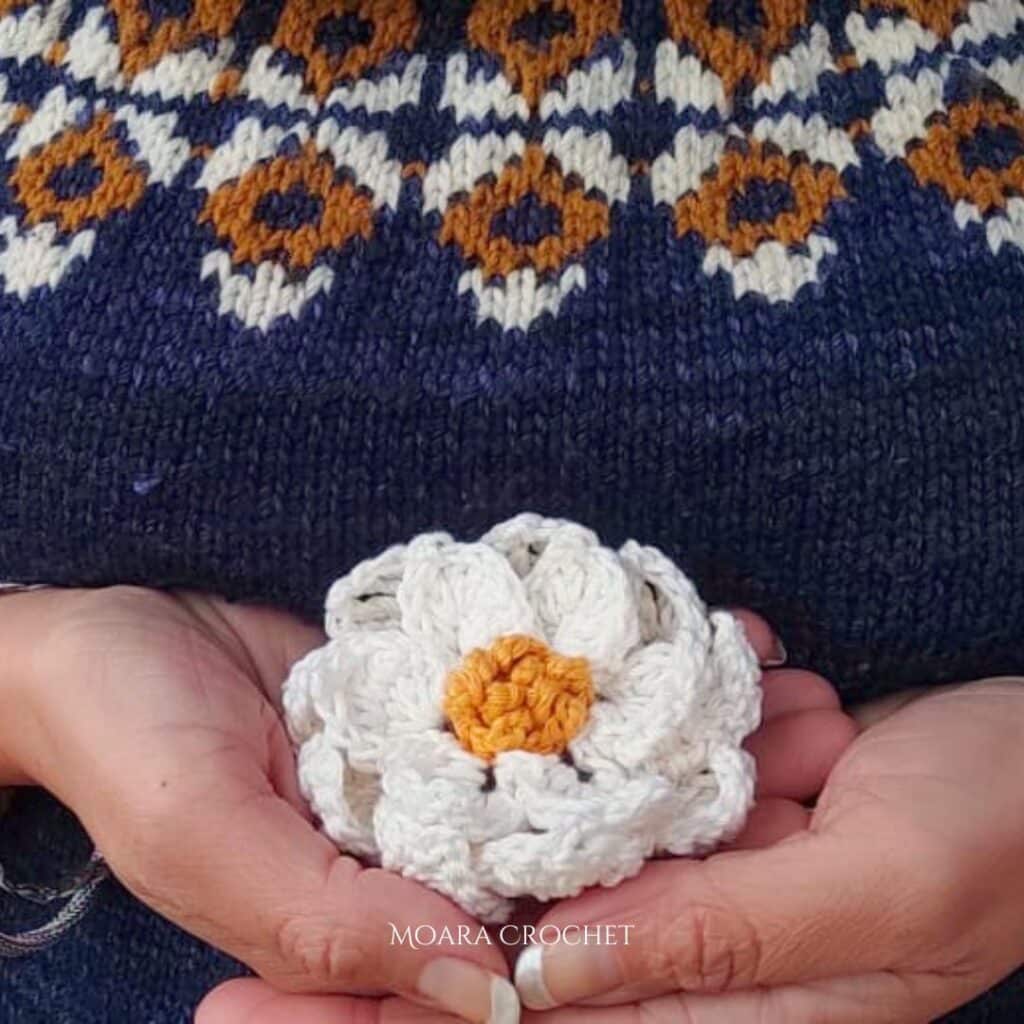Water Lily Free Crochet Pattern