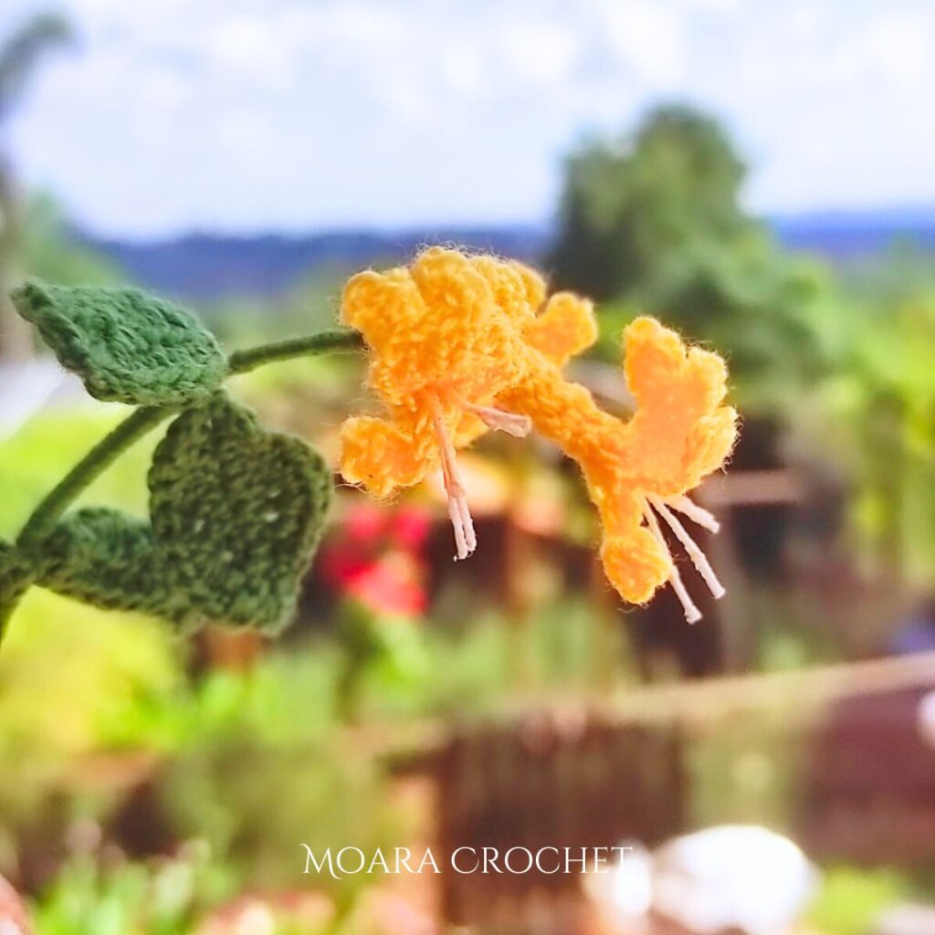 Crochet Birth Flowers with Moara Crochet