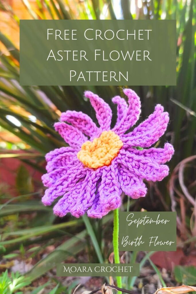 Crochet Aster Flower Free Pattern designed by Moara Crochet
