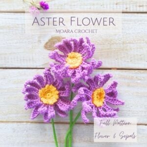 Crochet Aster Flower designed by Moara Crochet