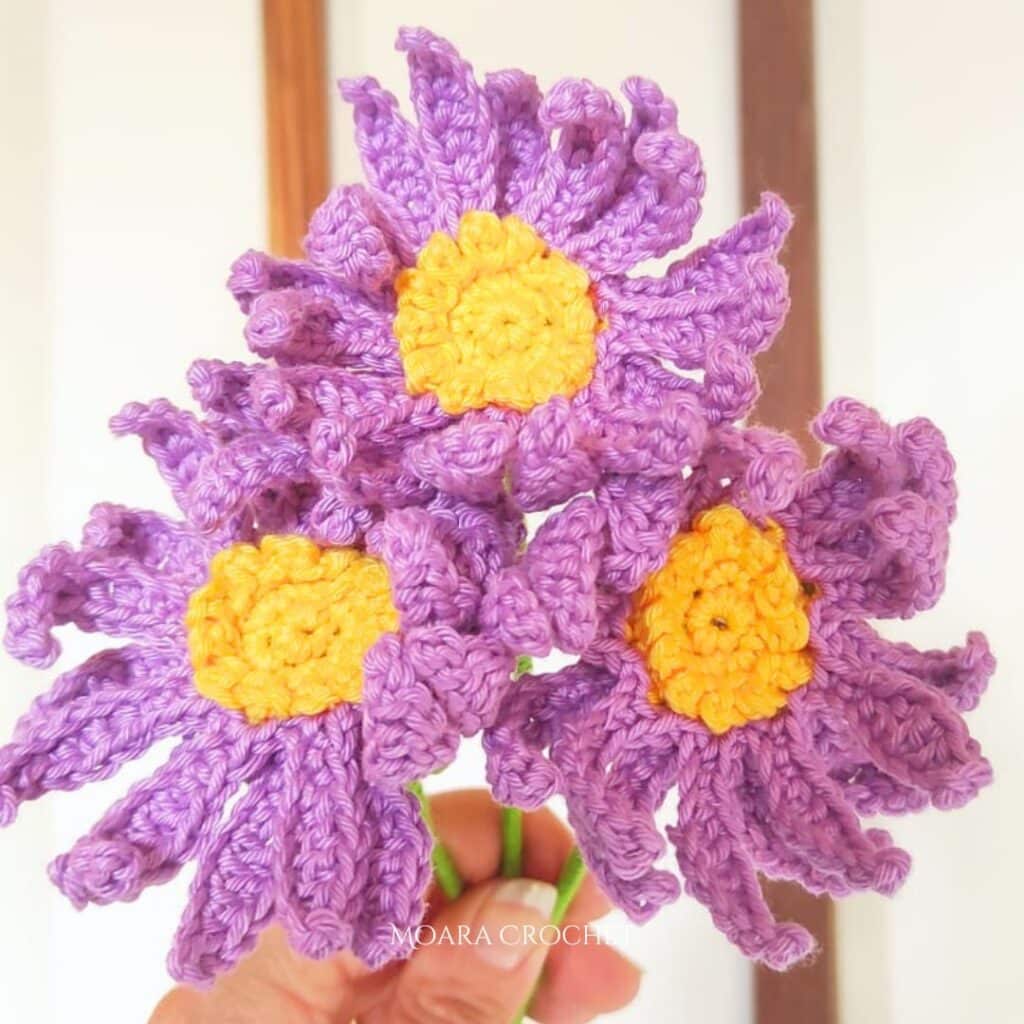 Free Crochet Aster Flower Pattern - Moara Crochet