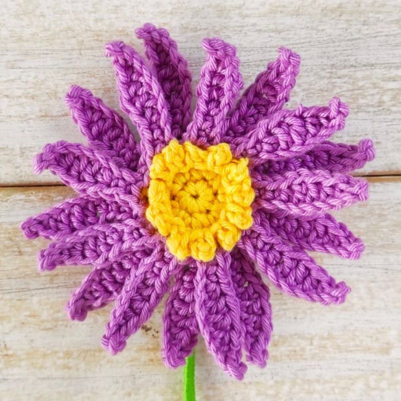 How to Crochet Aster Flower with Moara Crochet