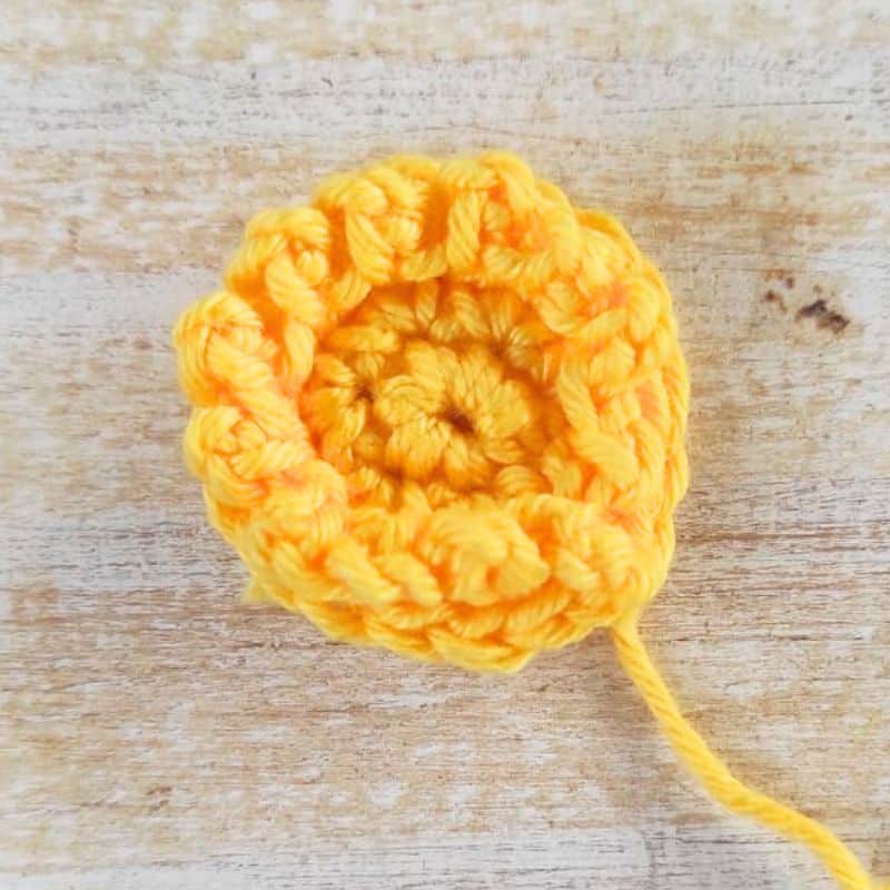 Stamen - Aster Flower - Moara Crochet